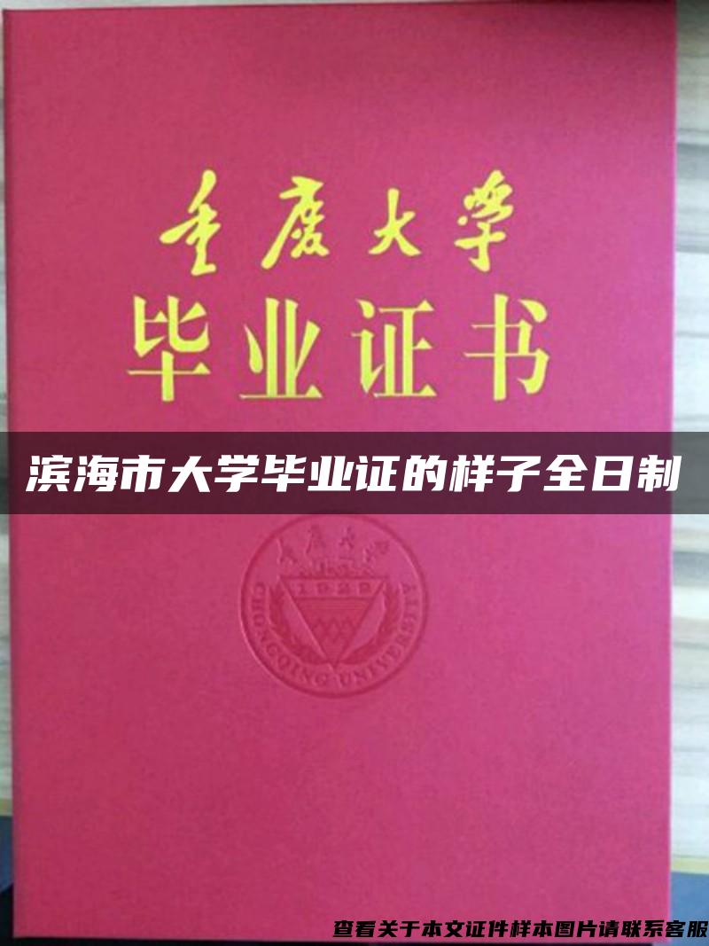 滨海市大学毕业证的样子全日制