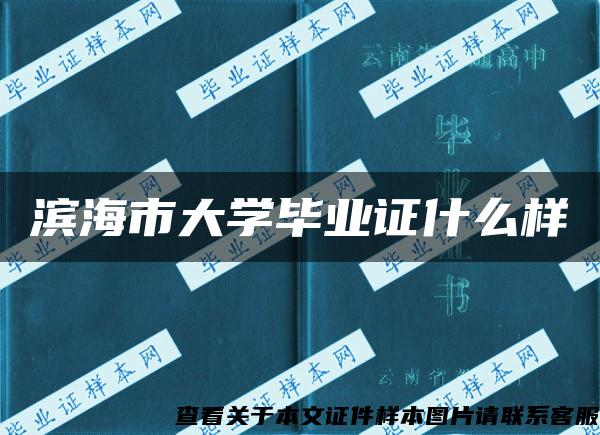 滨海市大学毕业证什么样