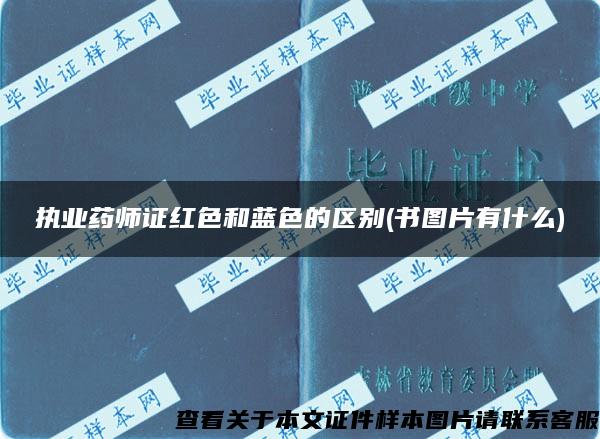 执业药师证红色和蓝色的区别(书图片有什么)