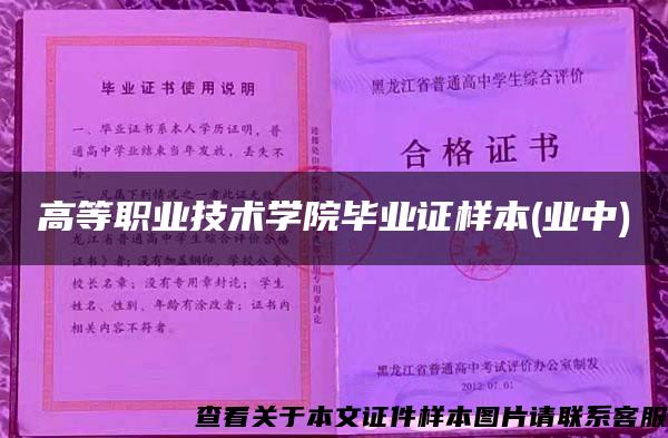 高等职业技术学院毕业证样本(业中)