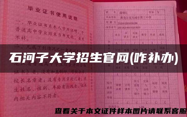 石河子大学招生官网(咋补办)