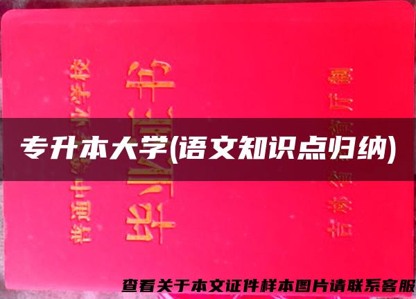 专升本大学(语文知识点归纳)