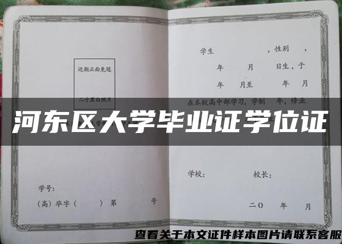 河东区大学毕业证学位证