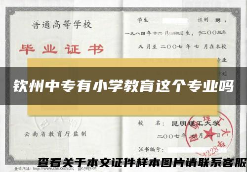 钦州中专有小学教育这个专业吗