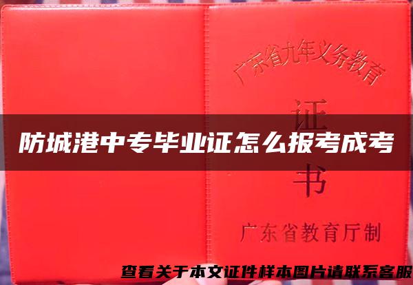 防城港中专毕业证怎么报考成考