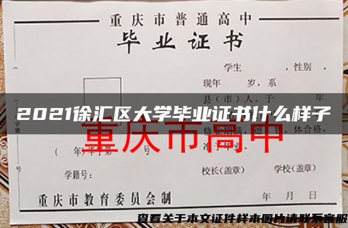 2021徐汇区大学毕业证书什么样子