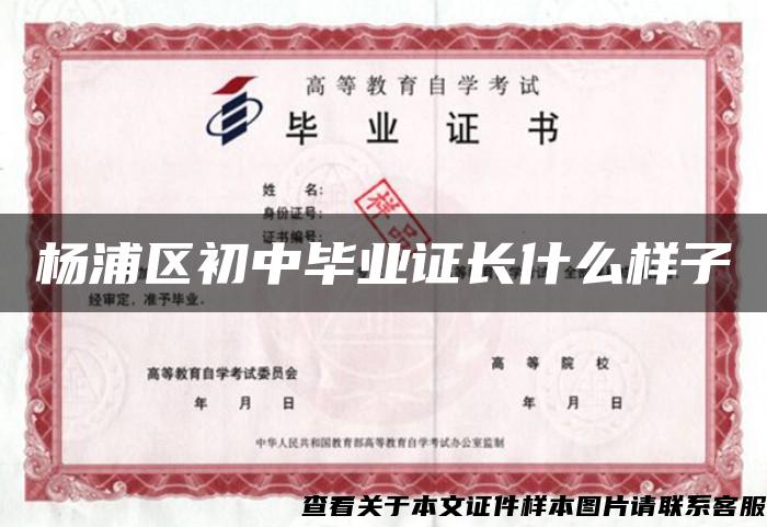 杨浦区初中毕业证长什么样子