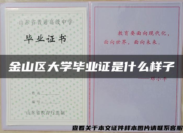 金山区大学毕业证是什么样子