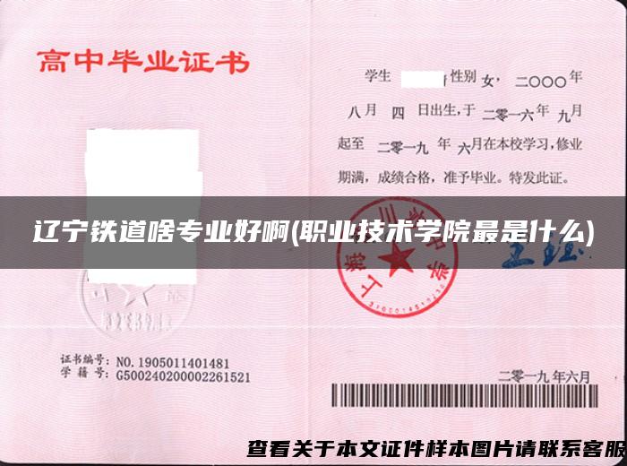 辽宁铁道啥专业好啊(职业技术学院最是什么)