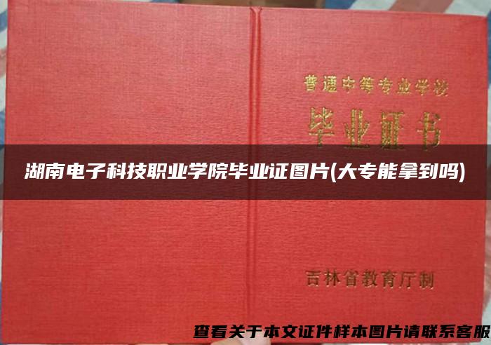 湖南电子科技职业学院毕业证图片(大专能拿到吗)