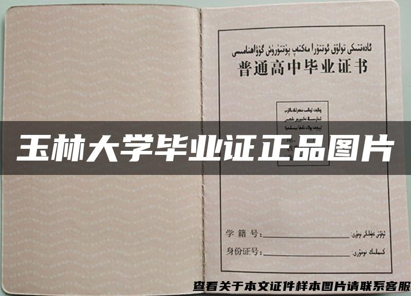 玉林大学毕业证正品图片