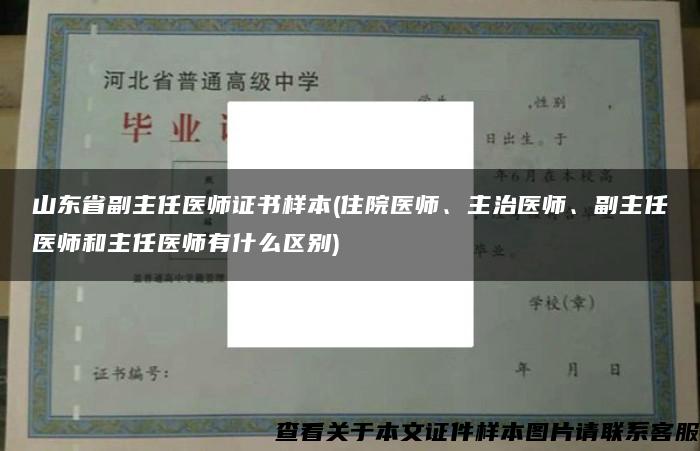 山东省副主任医师证书样本(住院医师、主治医师、副主任医师和主任医师有什么区别)