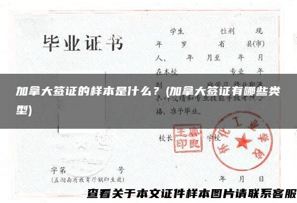 加拿大签证的样本是什么？(加拿大签证有哪些类型)