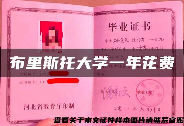 布里斯托大学一年花费