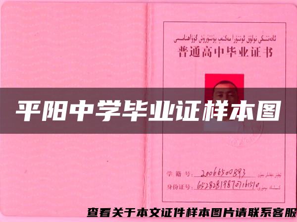 平阳中学毕业证样本图