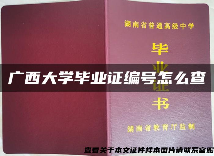 广西大学毕业证编号怎么查