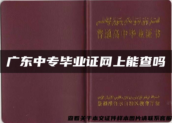 广东中专毕业证网上能查吗