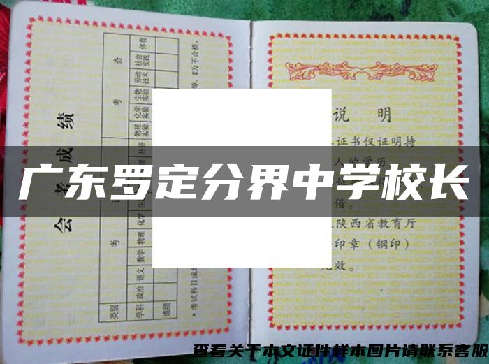 广东罗定分界中学校长