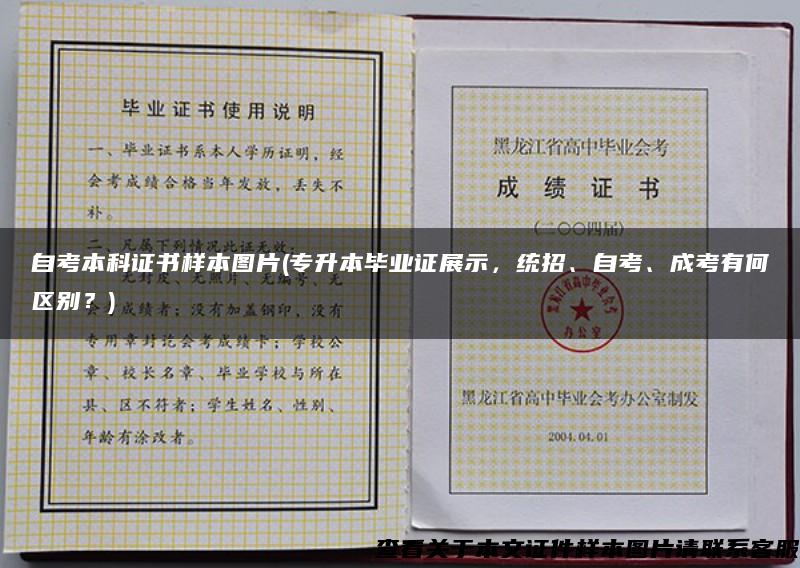 自考本科证书样本图片(专升本毕业证展示，统招、自考、成考有何区别？)