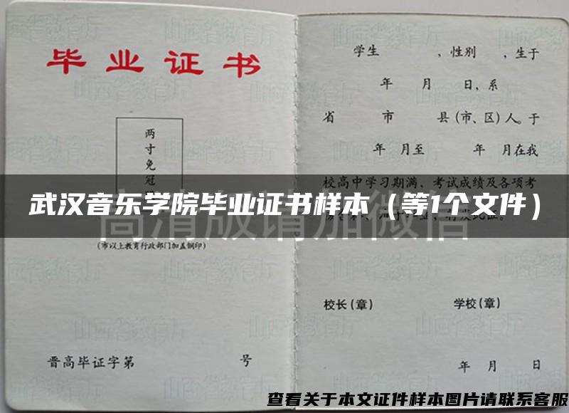 武汉音乐学院毕业证书样本（等1个文件）