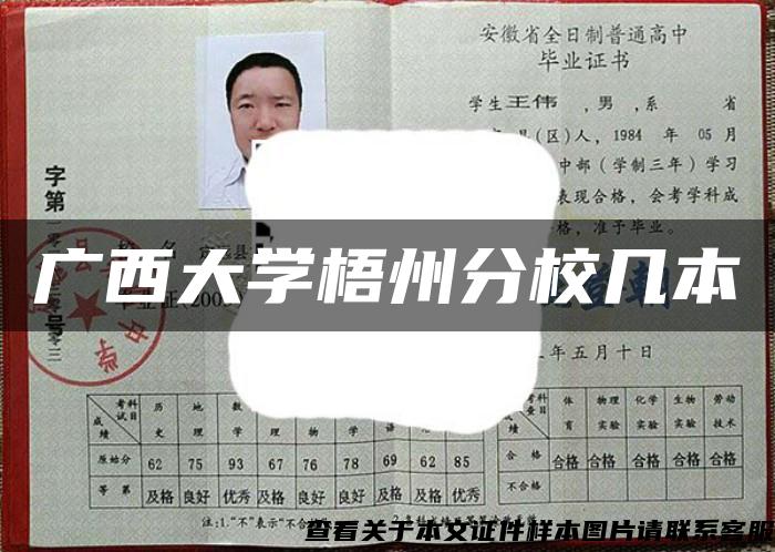 广西大学梧州分校几本