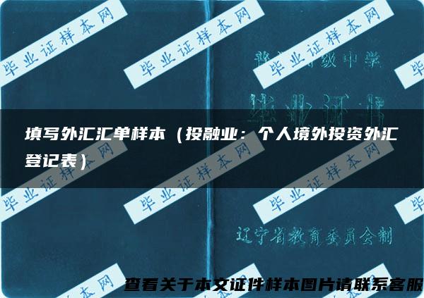 填写外汇汇单样本（投融业：个人境外投资外汇登记表）