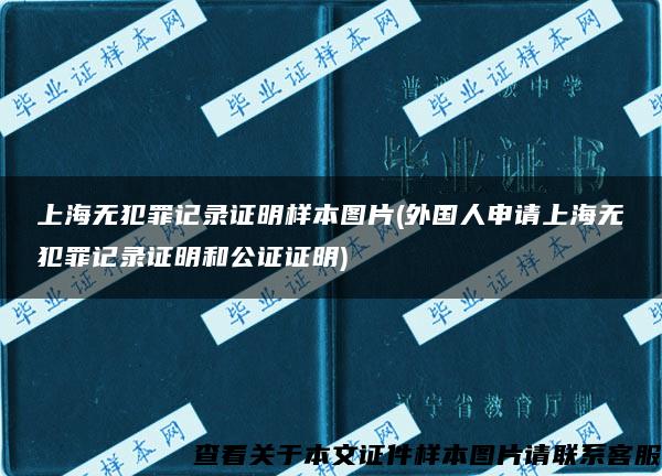 上海无犯罪记录证明样本图片(外国人申请上海无犯罪记录证明和公证证明)