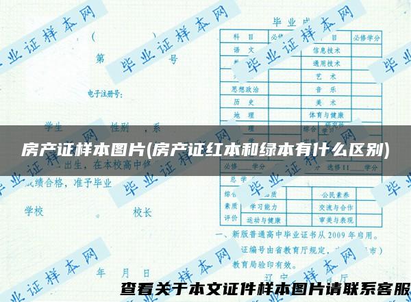 房产证样本图片(房产证红本和绿本有什么区别)