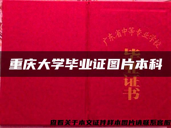 重庆大学毕业证图片本科