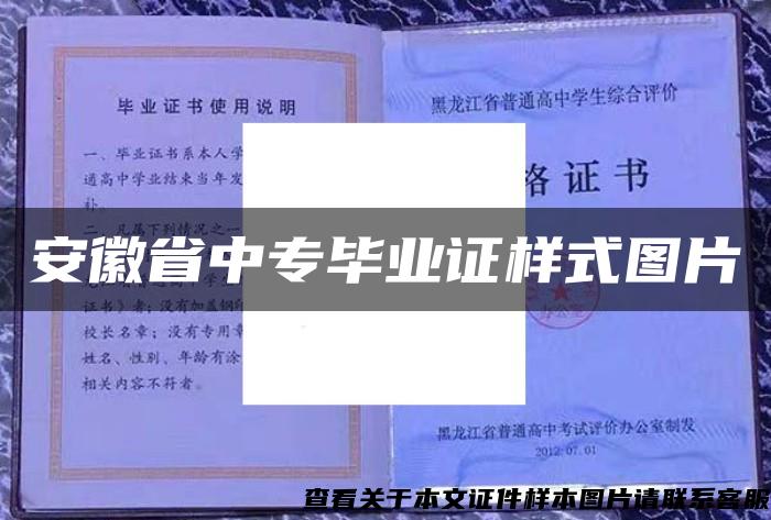 安徽省中专毕业证样式图片