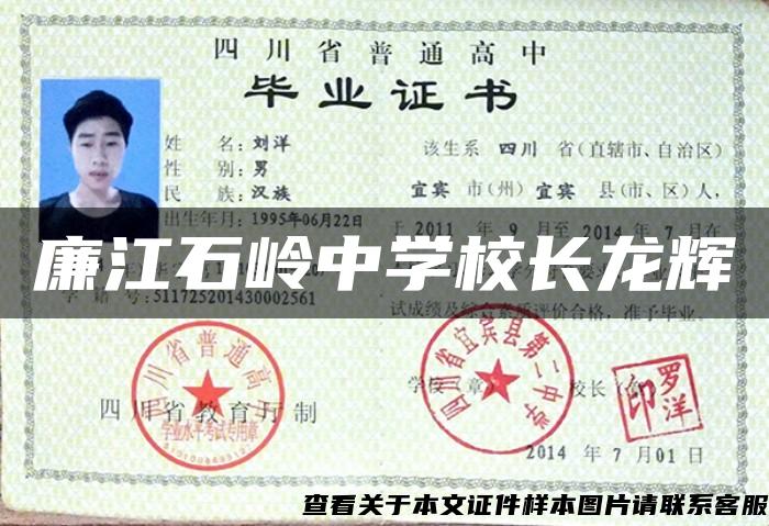 廉江石岭中学校长龙辉