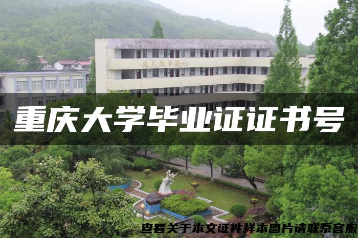 重庆大学毕业证证书号