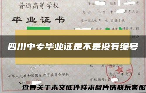 四川中专毕业证是不是没有编号