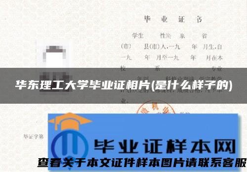 华东理工大学毕业证相片(是什么样子的)