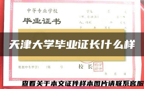 天津大学毕业证长什么样