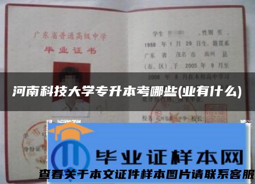 河南科技大学专升本考哪些(业有什么)