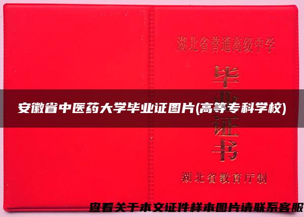 安徽省中医药大学毕业证图片(高等专科学校)