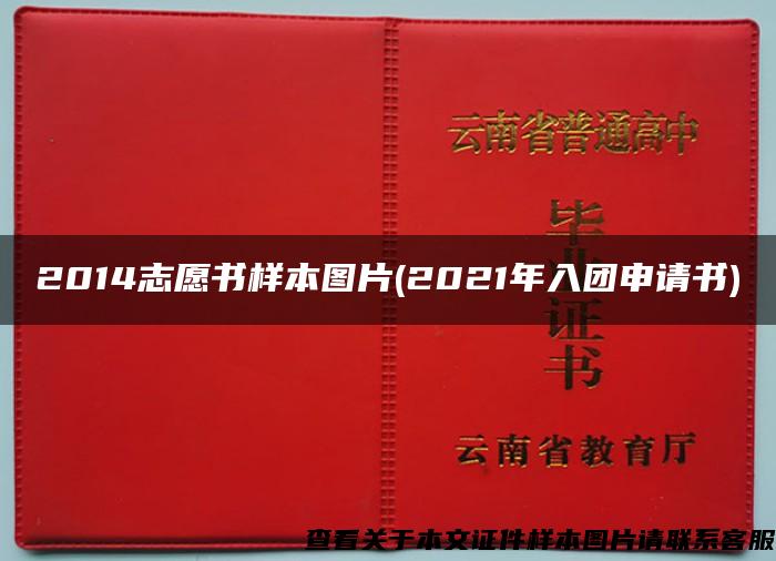 2014志愿书样本图片(2021年入团申请书)