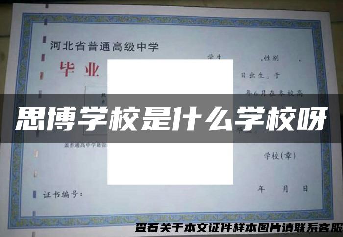 思博学校是什么学校呀