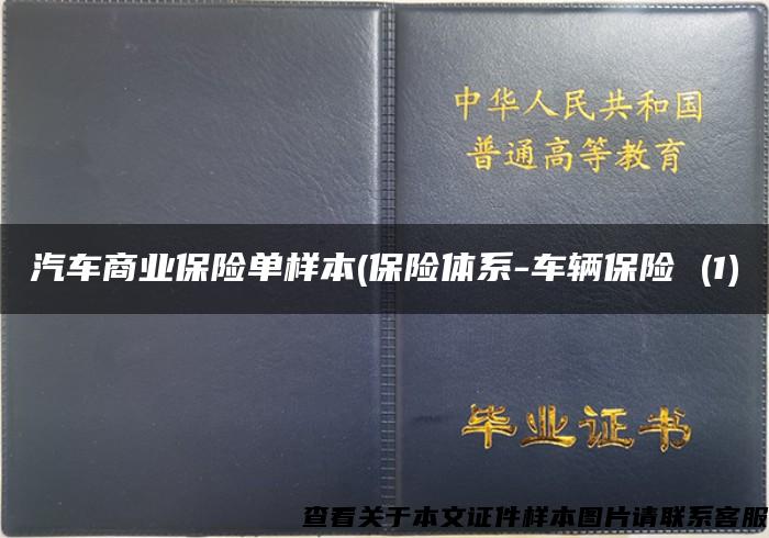 汽车商业保险单样本(保险体系-车辆保险 (1)