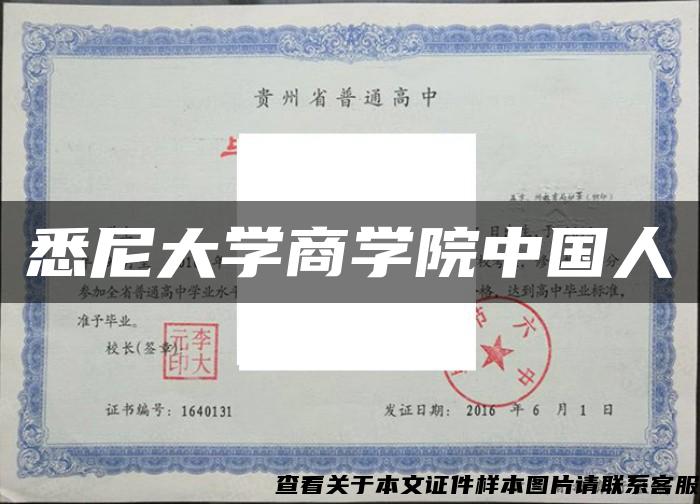 悉尼大学商学院中国人