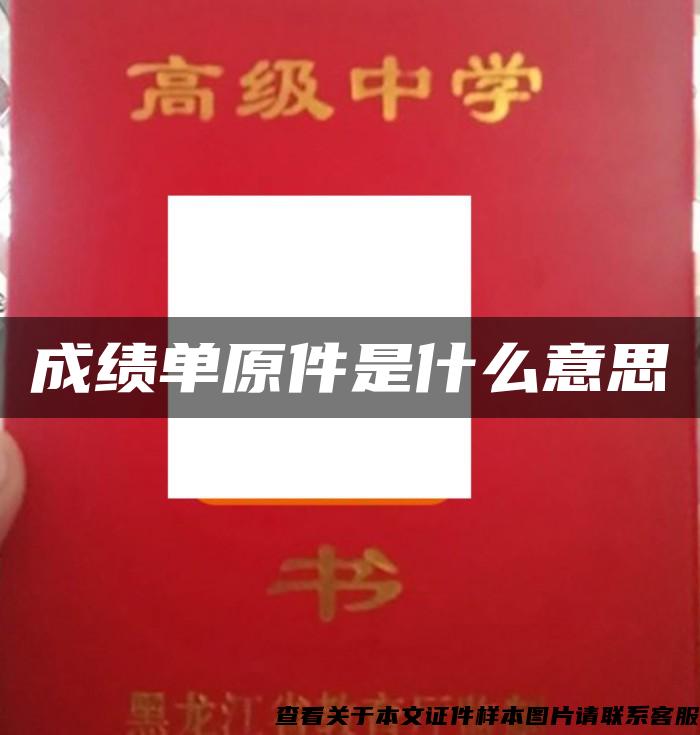 成绩单原件是什么意思