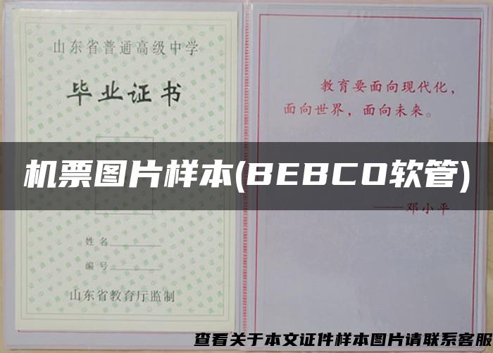 机票图片样本(BEBCO软管)