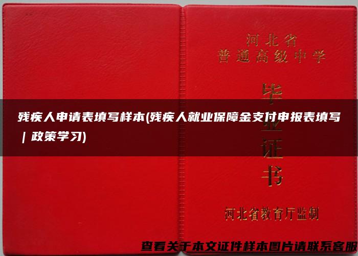 残疾人申请表填写样本(残疾人就业保障金支付申报表填写｜政策学习)