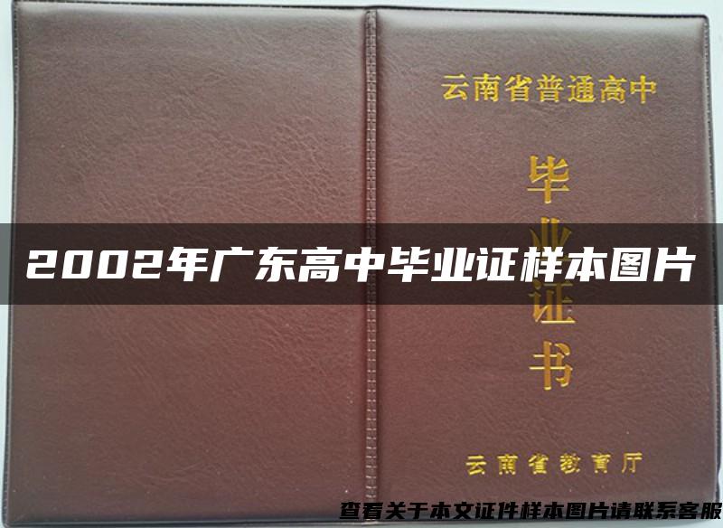 2002年广东高中毕业证样本图片