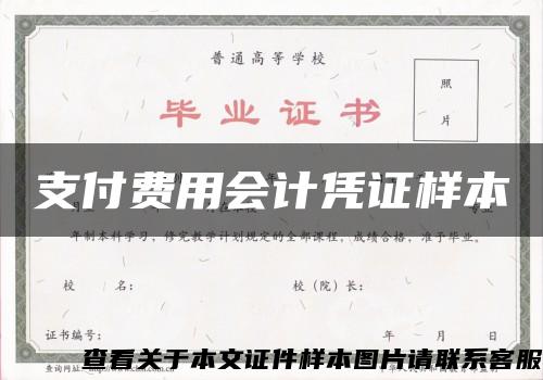 支付费用会计凭证样本