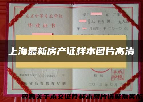 上海最新房产证样本图片高清