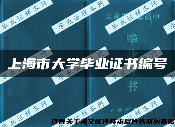 上海市大学毕业证书编号