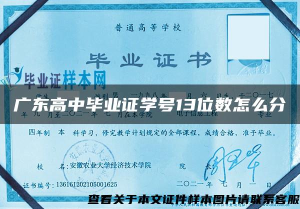 广东高中毕业证学号13位数怎么分