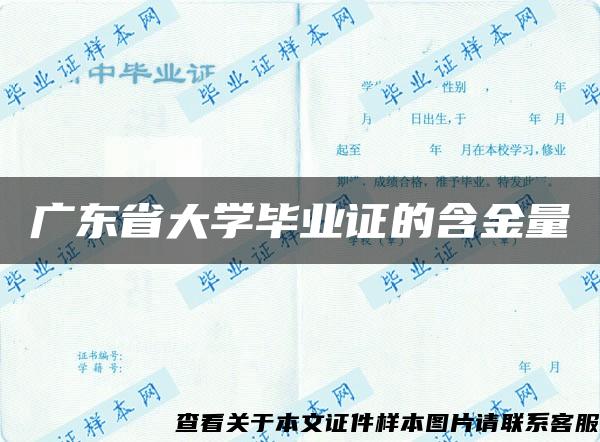 广东省大学毕业证的含金量